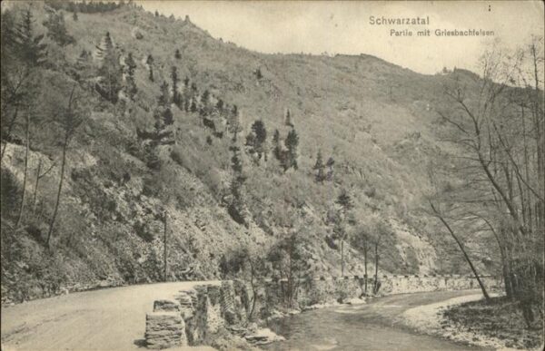 Schwarzatal Griesbachfelsen