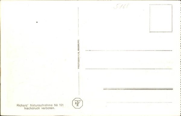 Nideggen Eifel Kühe – Bild 2