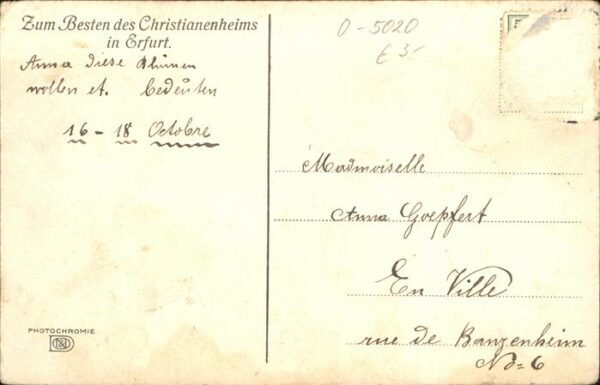 Erfurt Christianentag Blumen – Bild 2