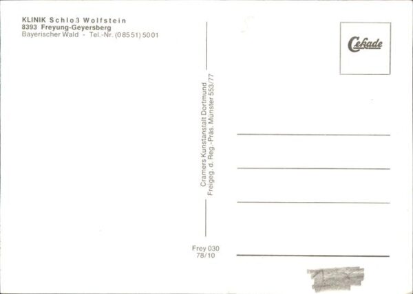 Geyersberg Wald Klinik Schloss Wolfstein Nationalpark B – Bild 2