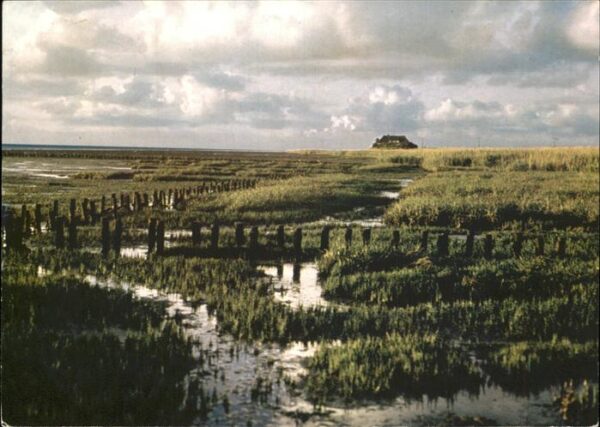 Amrum Landgewinnung am Watt