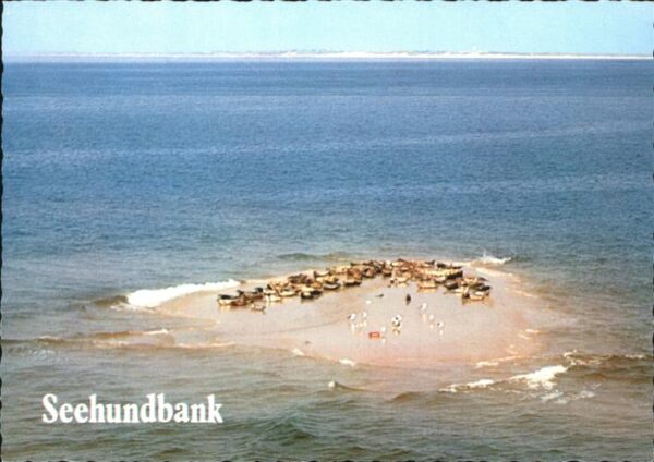 Sylt Seehundbank im Wattenmeer Fliegeraufnah