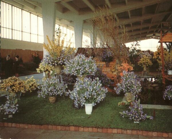 Hamburg Internationale Gartenbau Ausstellung Ha