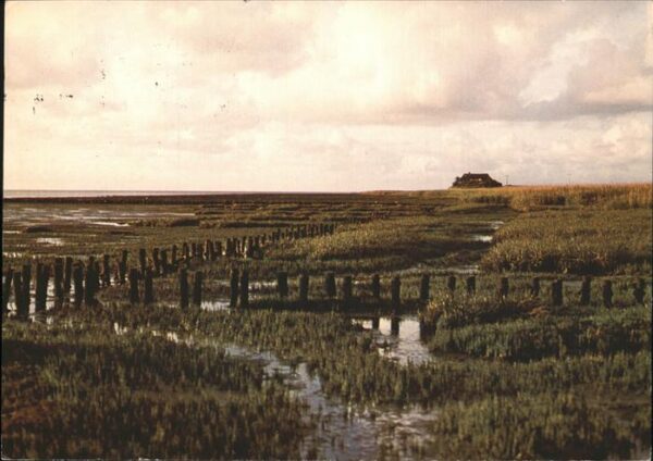 Amrum Landgewinnung am Watt
