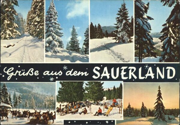 Arnsberg Westfalen Winterimpressionen Sauerland Winterspor