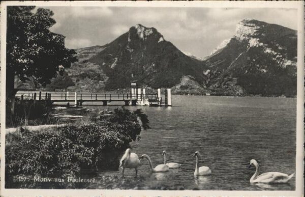 Schwan Faulensee