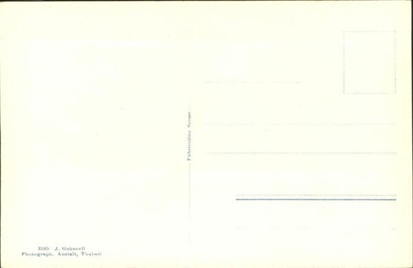 Voegel Tannenmeise – Bild 2