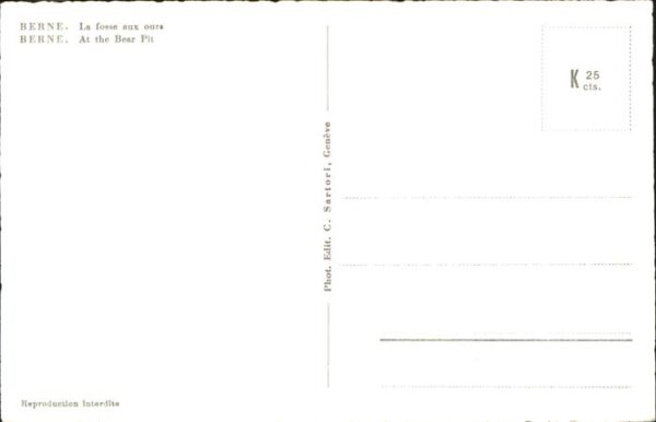 Baeren Bern Bärengraben – Bild 2