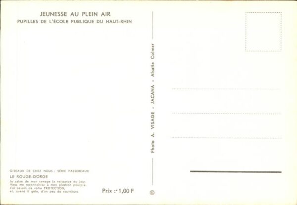 Voegel Rouge-Gorge Haut-Rhin Jeunesse au Plein – Bild 2
