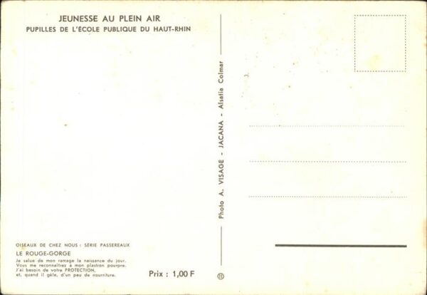 Voegel Rouge-Gorge Haut-Rhin Jeunesse au Plein – Bild 2
