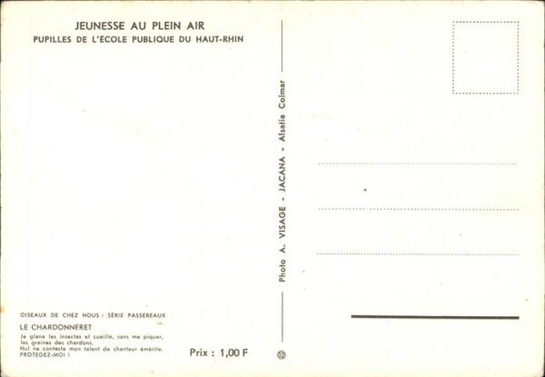 Voegel Chardonneret Haut-Rhin Jeunesse au Plei – Bild 2