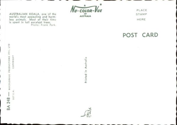 Koalabaer Australia – Bild 2