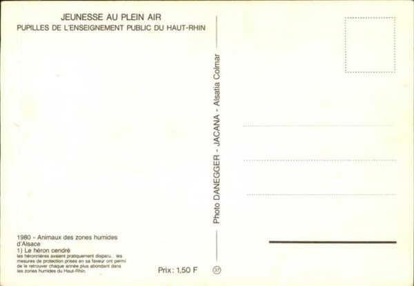 Voegel Heron cendre Haut-Rhin Jeunesse au Plei – Bild 2