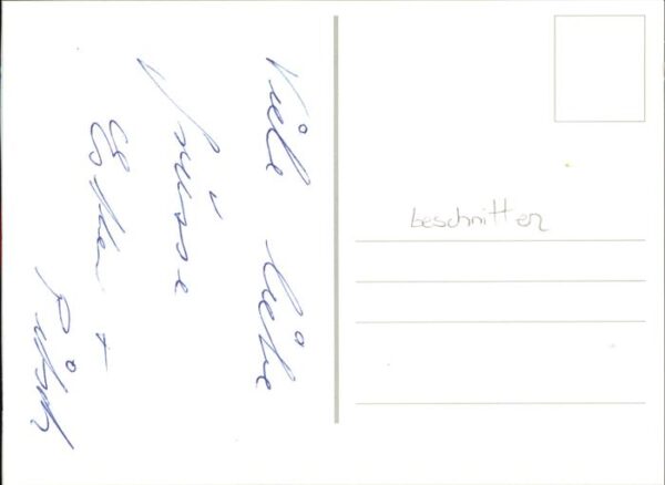 Katzen – Bild 2