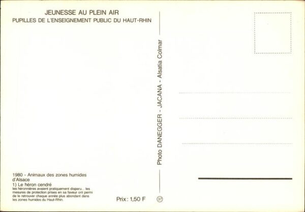 Voegel Heron cendre Haut-Rhin Jeunesse au Plei – Bild 2