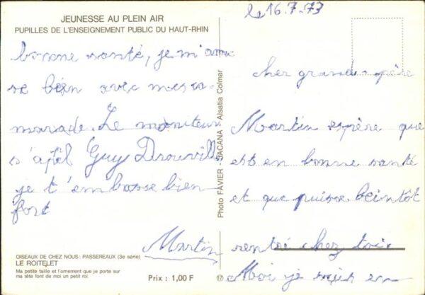 Voegel Roitelet Haut-Rhin Jeunesse au Plein Ai – Bild 2