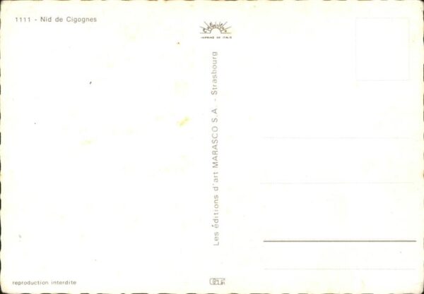 Voegel Storche Elsass Nid de cigognes – Bild 2
