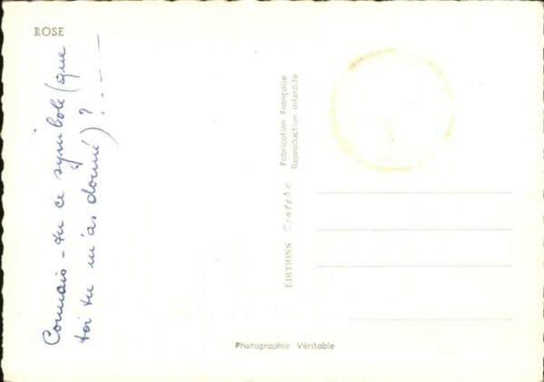 Rosen – Bild 2