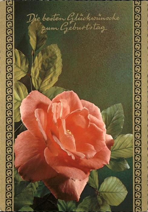 Rose Glückwunsch Geburtstag