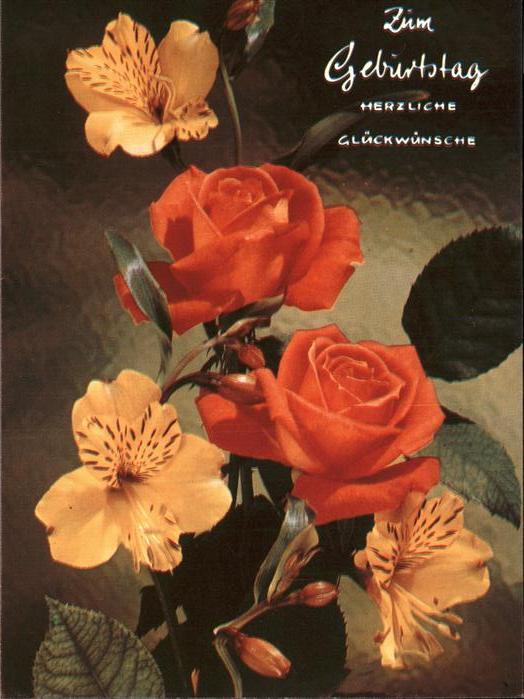 Rosen Glückwunsch Geburtstag