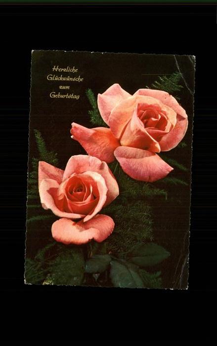 Rosen Geburtstag Glückwunsch