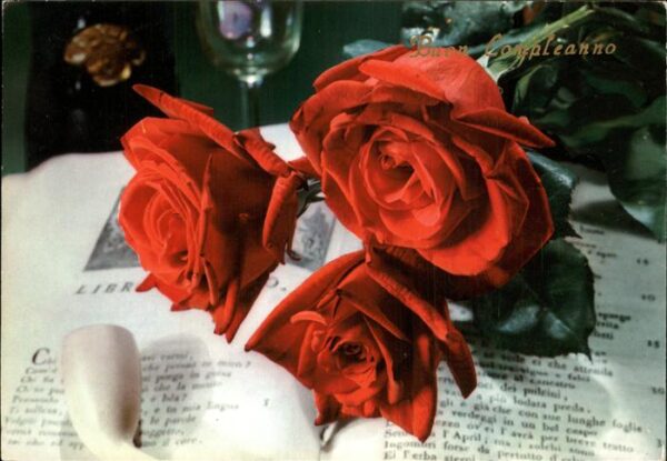 Rosen Compleanno Geburtstag Buch