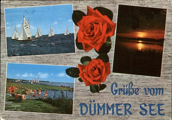 Rosen Segelboote Dümmer See