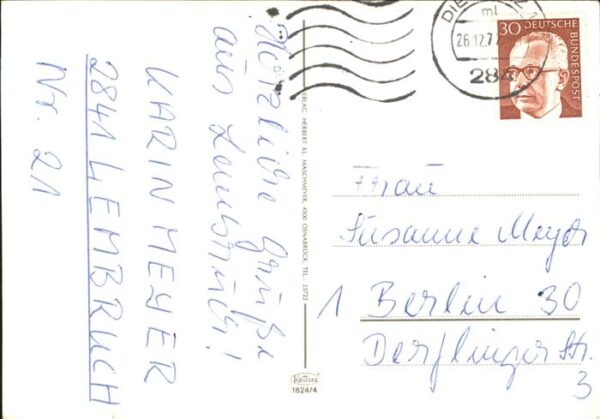 Rosen Segelboote Dümmer See – Bild 2