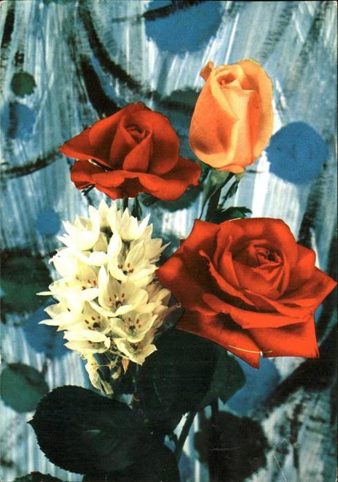 Rosen