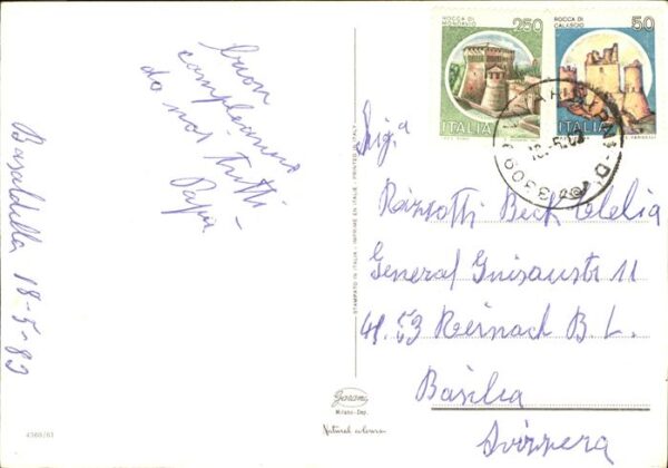 Rosen – Bild 2