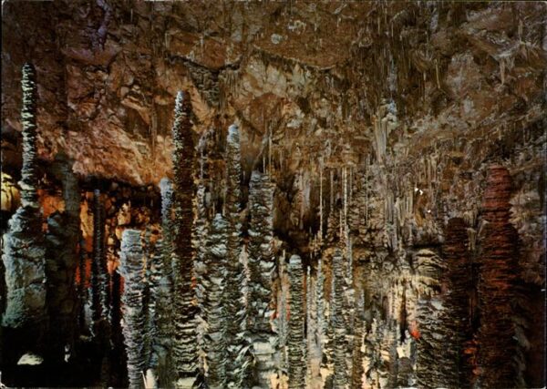 Hoehlen Caves Grottes L'Aven-Armand Foret Vierge
