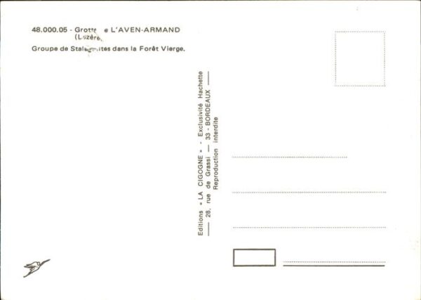 Hoehlen Caves Grottes L'Aven-Armand Foret Vierge – Bild 2