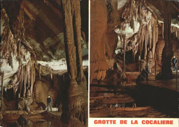 Hoehlen Caves Grottes Grotte de la Cocaliere Languedoc-Cevenn