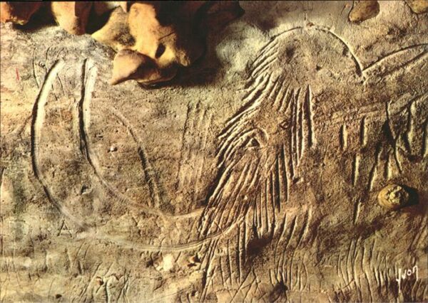 Hoehlen Caves Grottes Grotte de Rouffignac Dordogne Tete du P