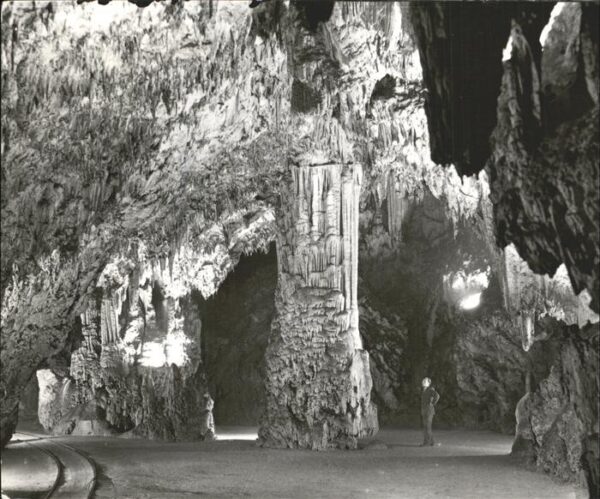 Hoehlen Caves Grottes Postojnska Jama Slovenija Jugoslavija