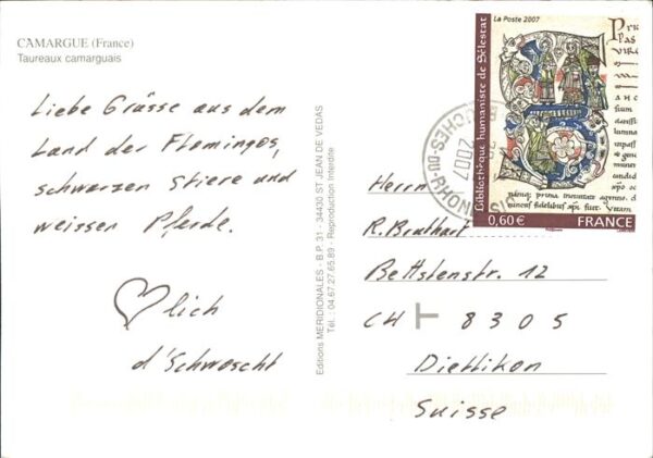 Stiere Camargue Taureaux camarguais – Bild 2