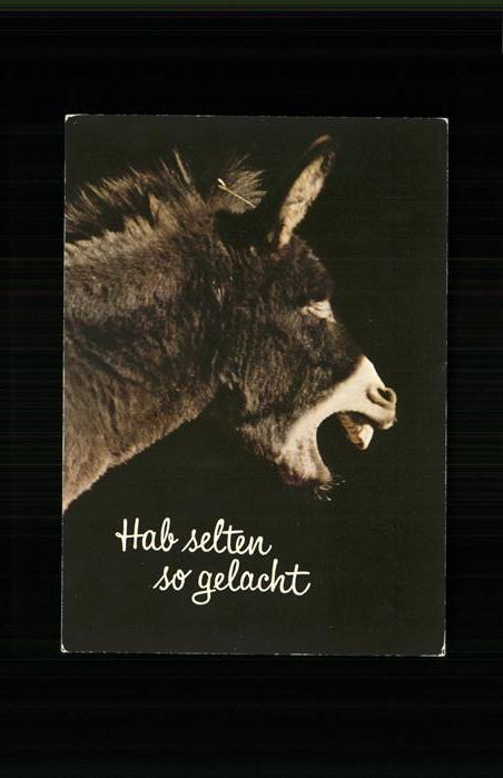 Esel Tiere Photoglob-Wehrli Nr. 6587