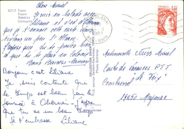 Reh Faon Fawn Rehkitz Cerbiatto – Bild 2