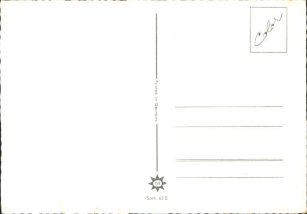 Pferde – Bild 2