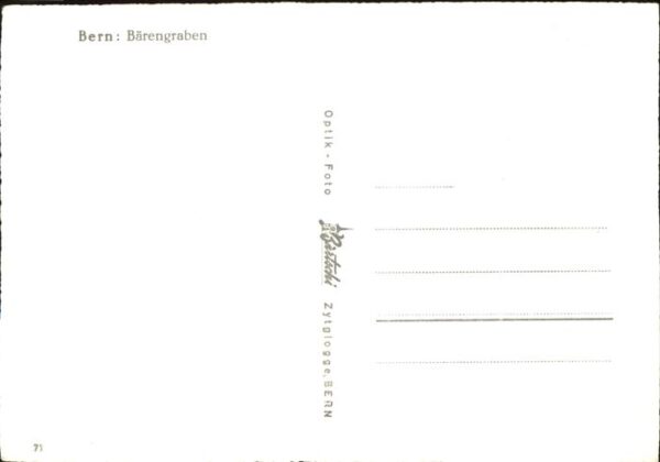 Baeren Bern Bärengraben – Bild 2