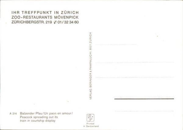 Voegel Pfau – Bild 2