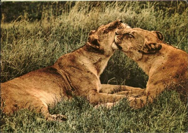 Loewe Mother and Child