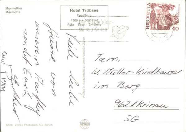 Tiere Murmeltier – Bild 2