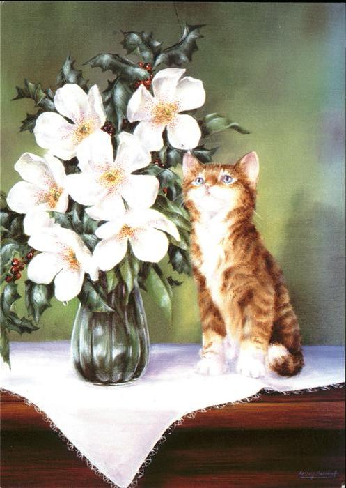 Katzen Blumen