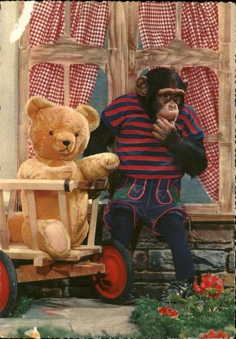 Teddy Teddybaer Teddy-bear Affe