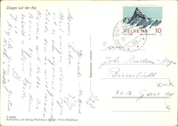 Ziege – Bild 2
