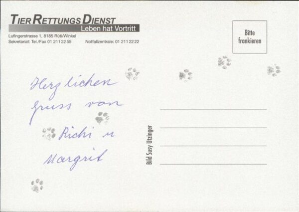 Katzen – Bild 2