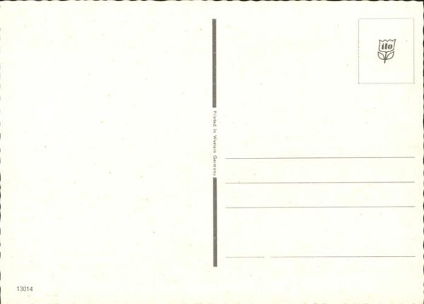 Pferde – Bild 2