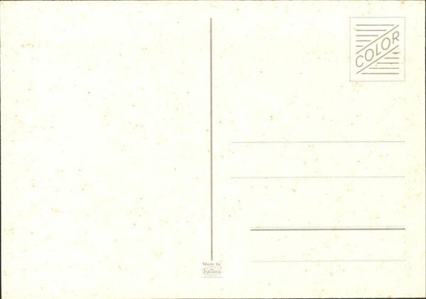 Hirsch – Bild 2