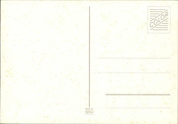 Hirsch Reh – Bild 2
